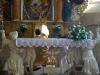 p1150586_t1.jpg