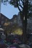 dsc_3018_t1_3.jpg